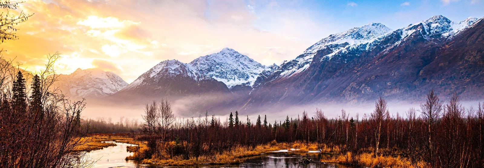 Snow-capped Alaska mountains above wetlands and forest