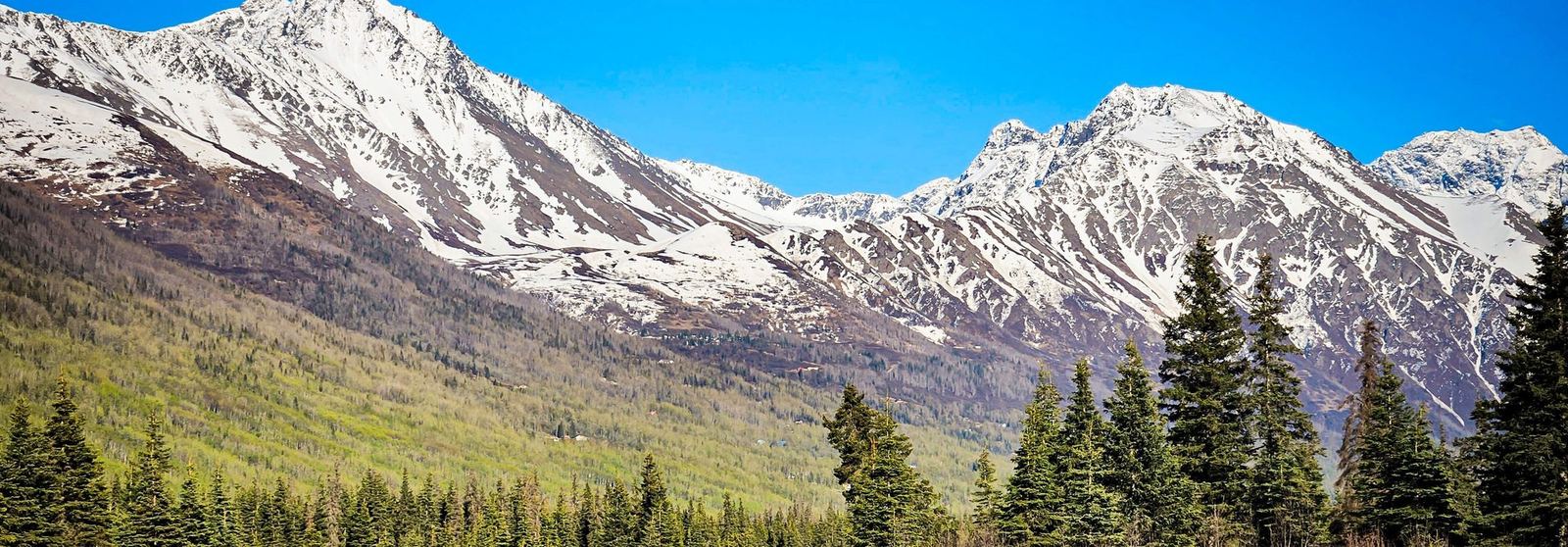 Alaska mountain scenery — peaks, forest, and wetlands